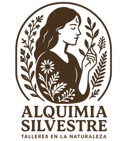 Alquimia Silvestre Logo